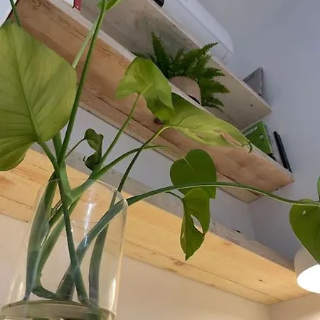 Апартаменты Anastasios' Artwork *